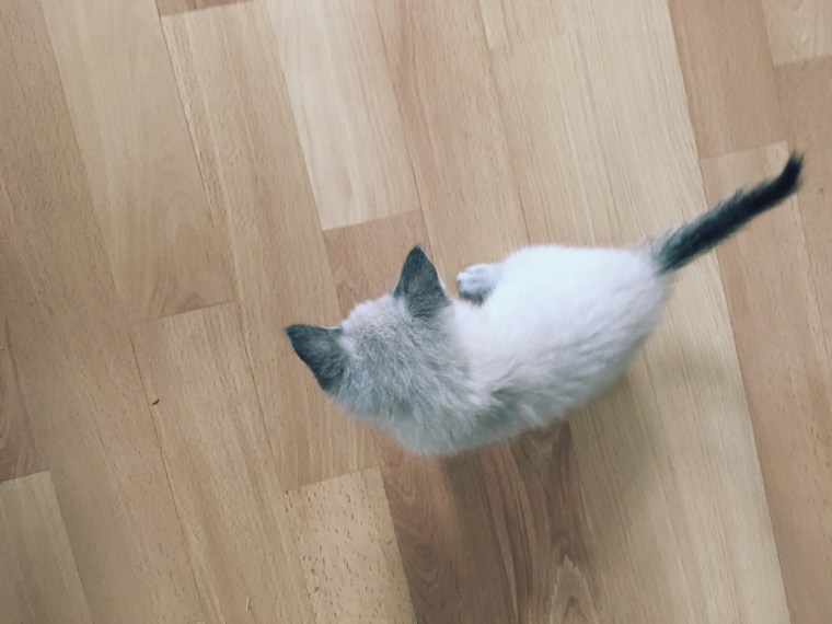 Processed with VSCO with h4 preset