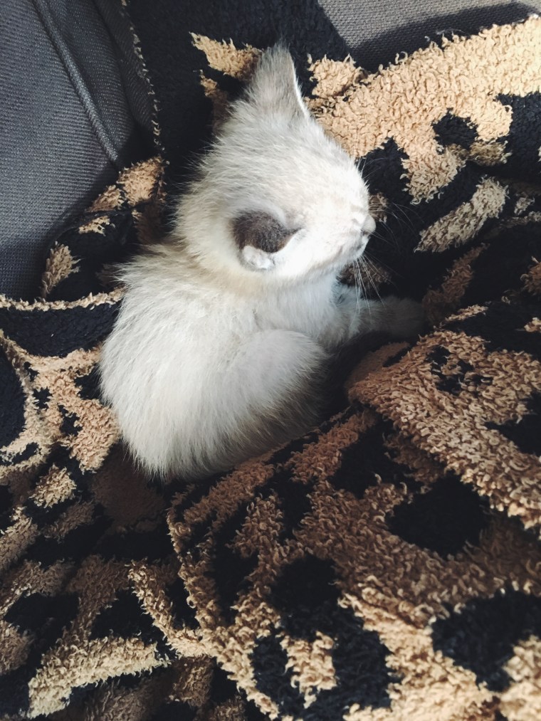 Processed with VSCO with f2 preset